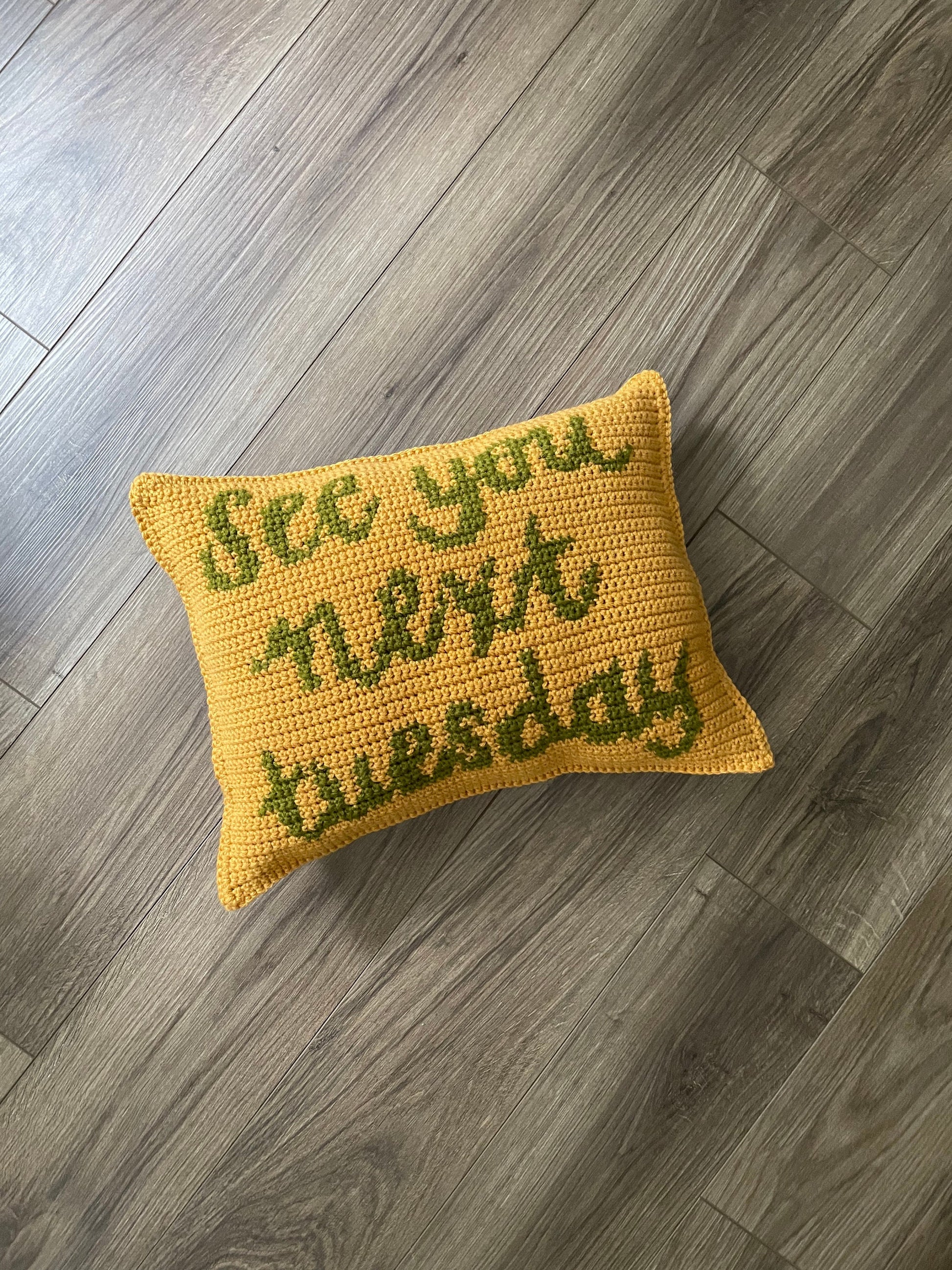 CROCHET PATTERN- See You Next Tuesday Pillow, Cunt Pillow