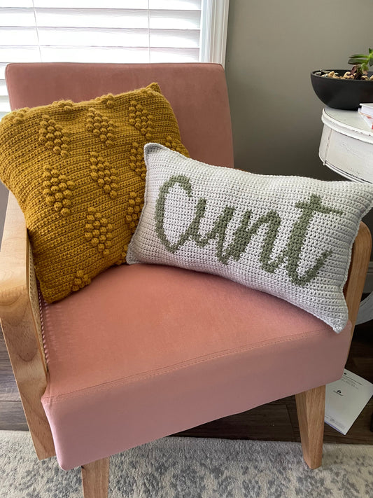 CROCHET PATTERN- Cunt Colorwork Pillow, C U Next Tuesday, See You Next Tuesday, Funny Crochet Pattern
