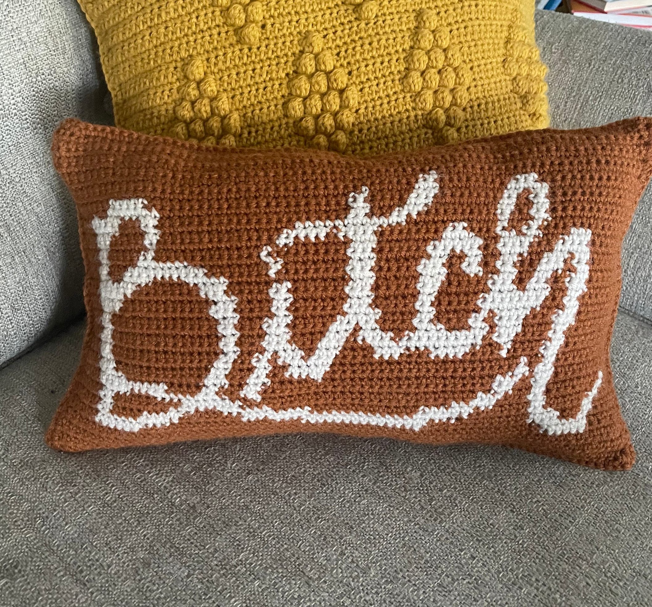 Bitch Colorwork Crochet Pillow