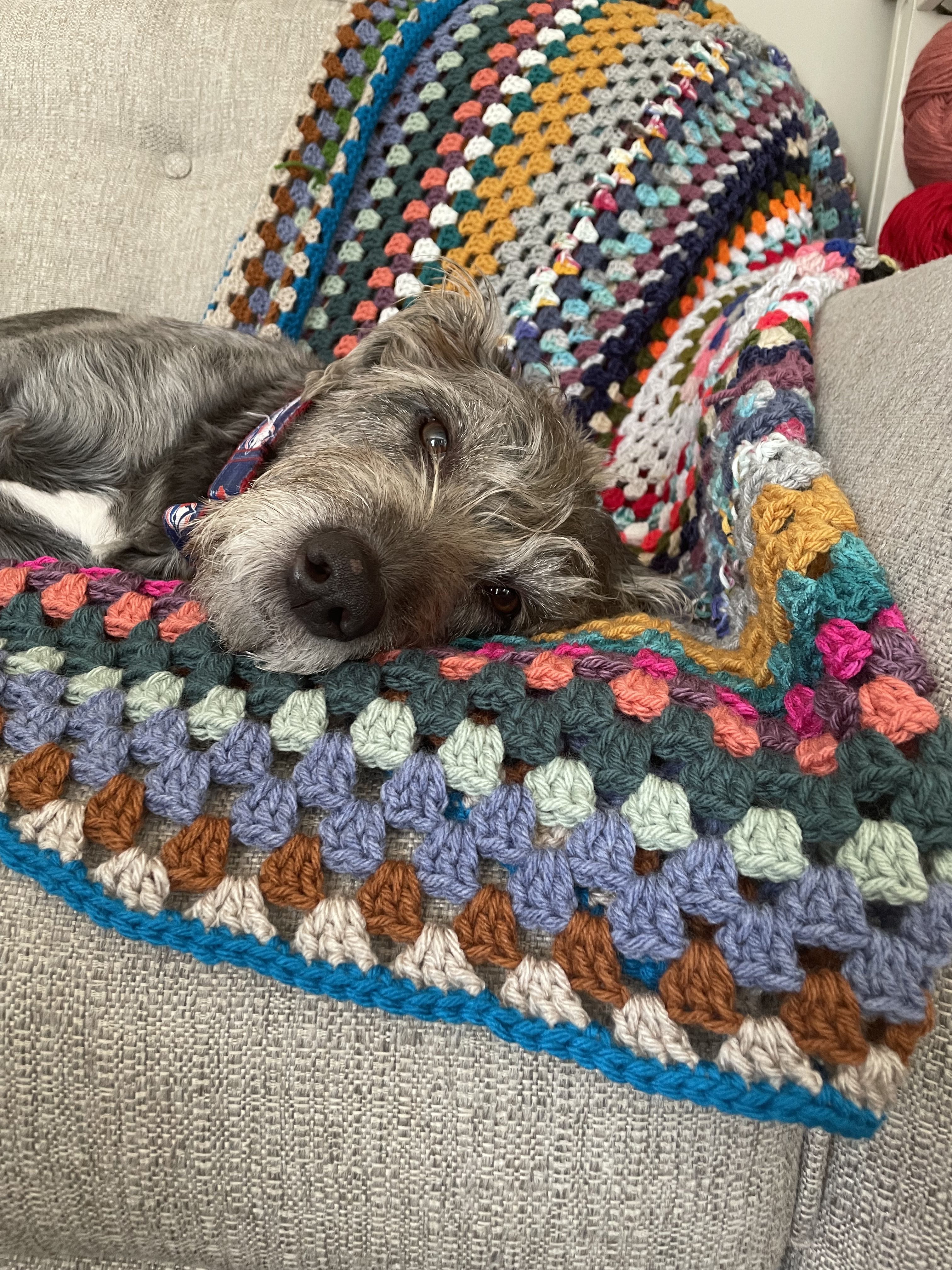 Best Yarn for Crochet Blankets (Tested, Washed, Compared)